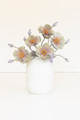 Botanica #2894 (Box of 6)