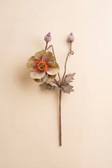 Botanica #2894 (Box of 6)