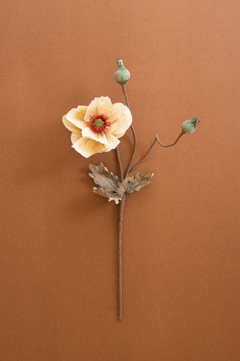Botanica #2895 (Box of 6)