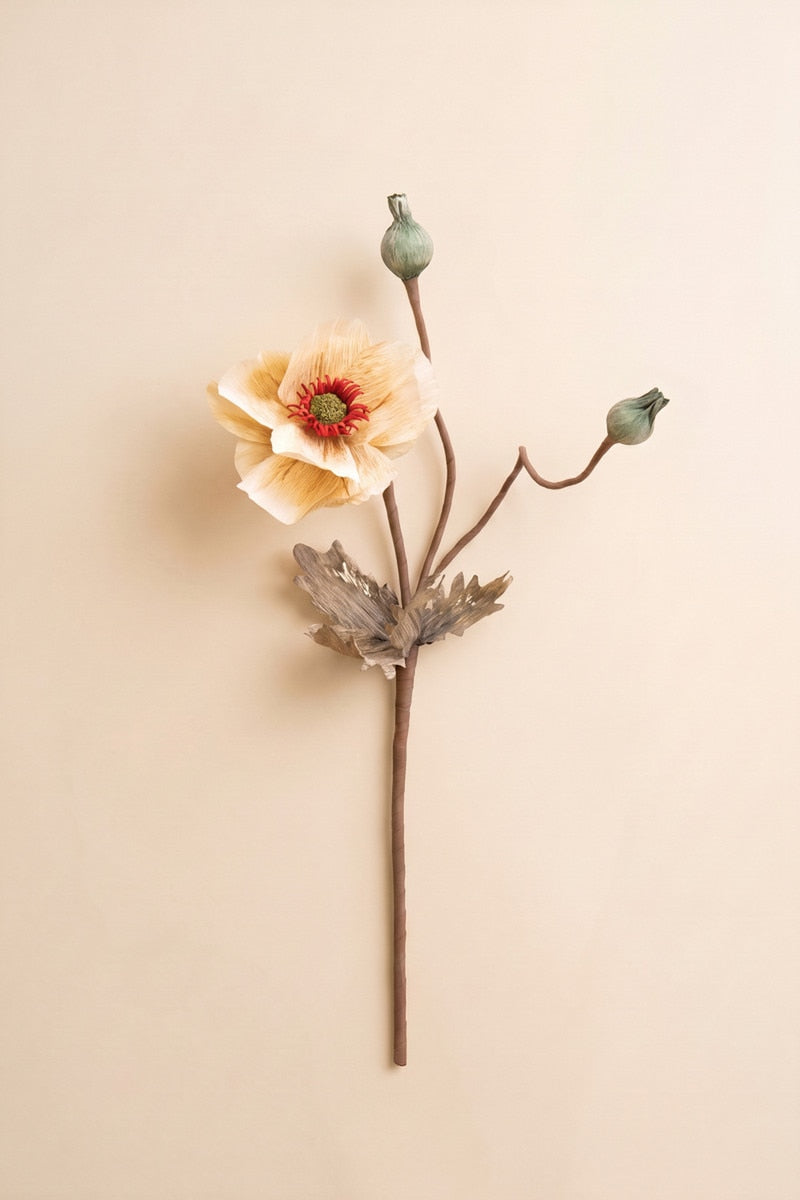 Botanica #2895 (Box of 6)