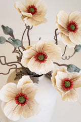 Botanica #2895 (Box of 6)