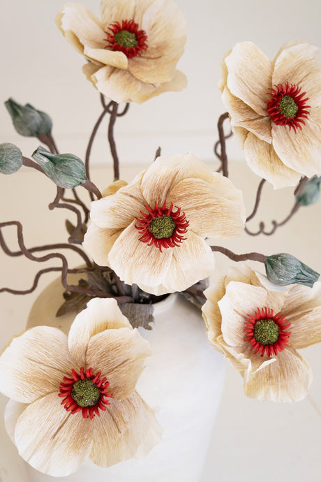 Botanica #2895 (Box of 6)