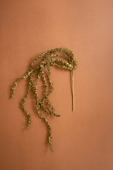 Botanica #2896 (Box of 6)