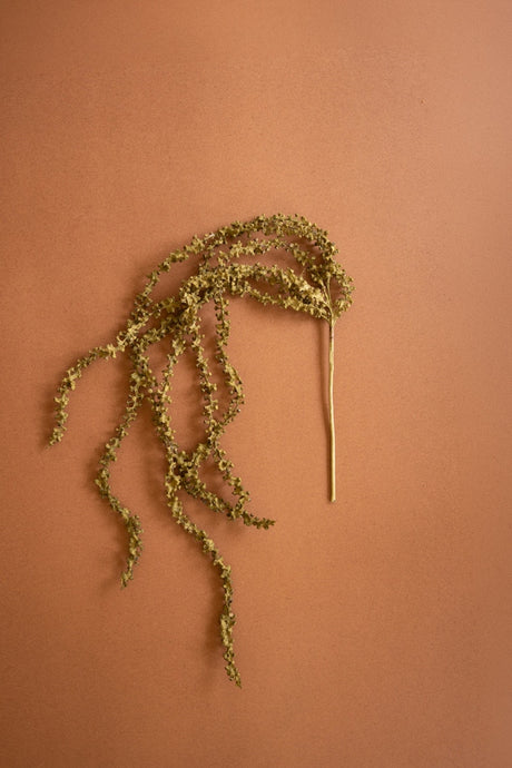 Botanica #2896 (Box of 6)