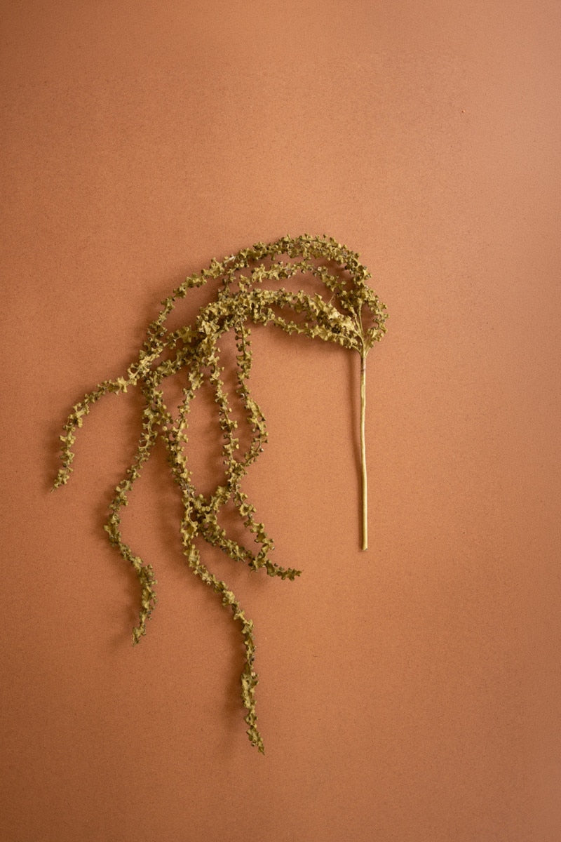 Botanica #2896 (Box of 6)