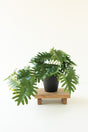 faux split palm plant featuring broad tropical-inspired leaves and a simple black pot standing on small wood pedestal