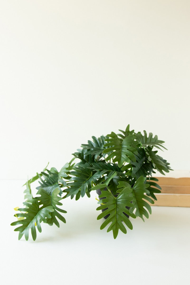 Artificial Mini Philodendron  In A Black Plastic Pot (Box of 6)