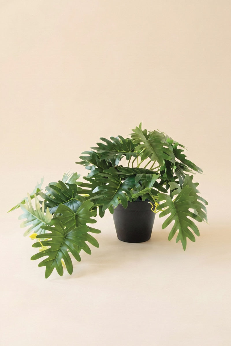 Artificial Mini Philodendron  In A Black Plastic Pot (Box of 6)