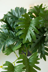 Artificial Mini Philodendron  In A Black Plastic Pot (Box of 6)