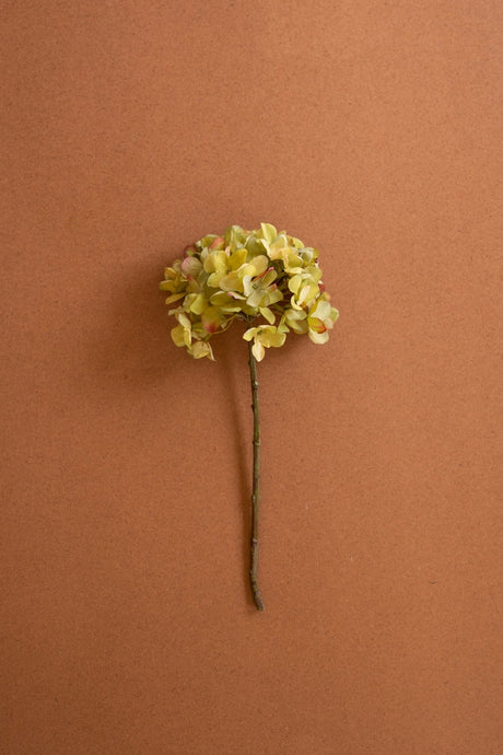 Botanica #2906 (Box of 6)