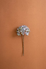 Botanica #2907 (Box of 6)