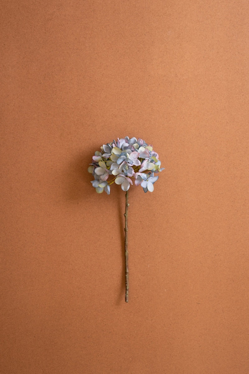 Botanica #2907 (Box of 6)
