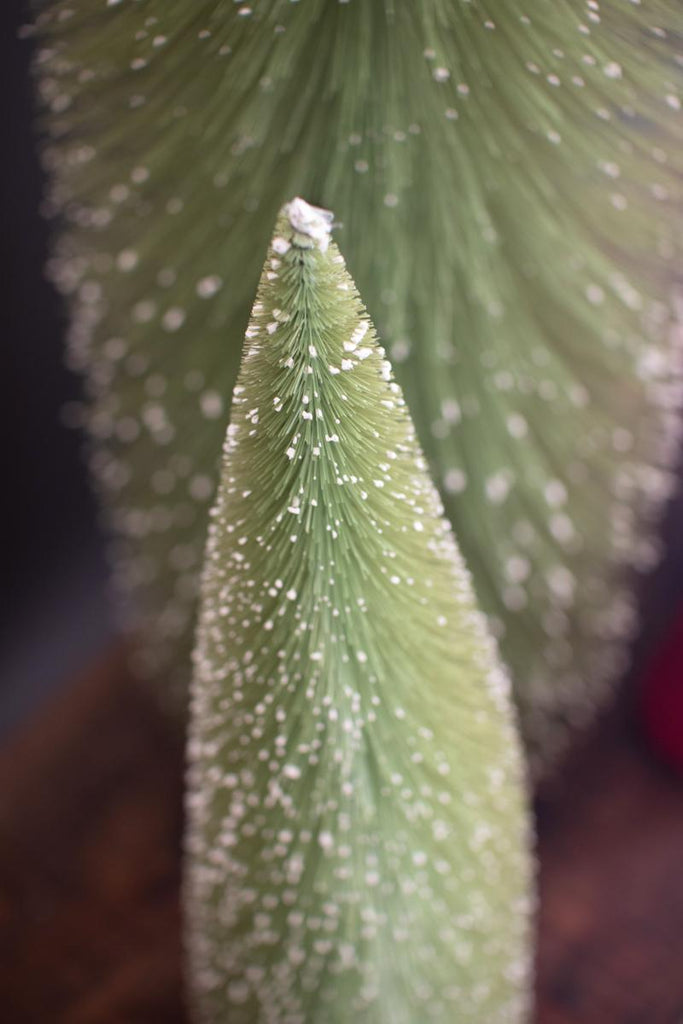 close-up of top of bottle brush christmas tree showing simulated snow