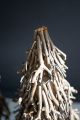 Driftwood sculpture against a dark background