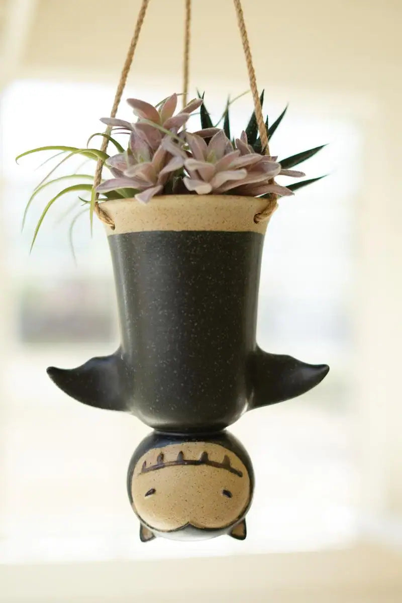 upside down hanging bat planter suspended by twine holding small succulent - the latter sold separately