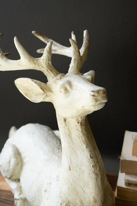 close up of deer head - table decor