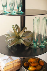 Close-up of round, black 5-tiered shelf with air plant, glasses and books against a neutral background