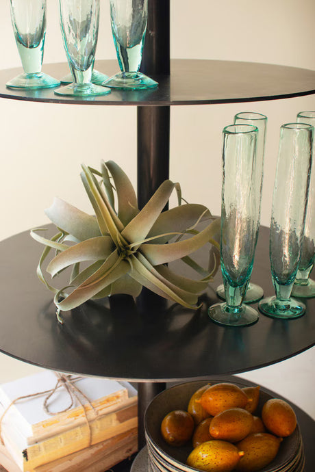 Close-up of round, black 5-tiered shelf with air plant, glasses and books against a neutral background