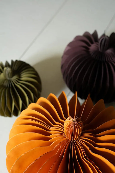 top down close-up of accordian pumpkins