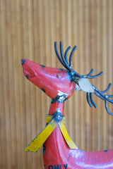 close up of red reindeer looking up