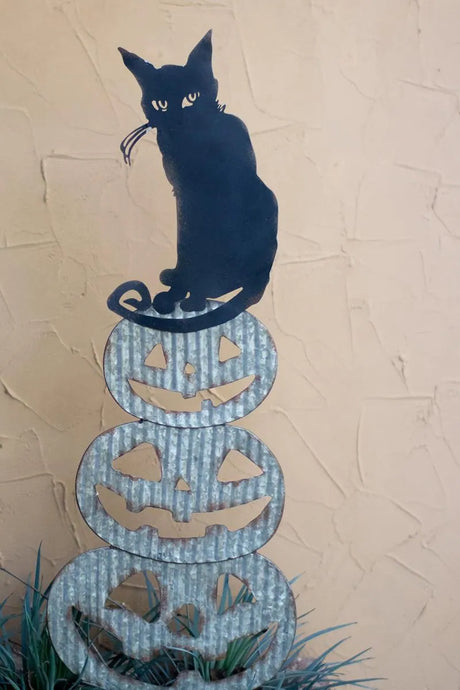 jack-o-lantern of 3 pumpkins with black cat on top showing its mischievous eyes - off white background