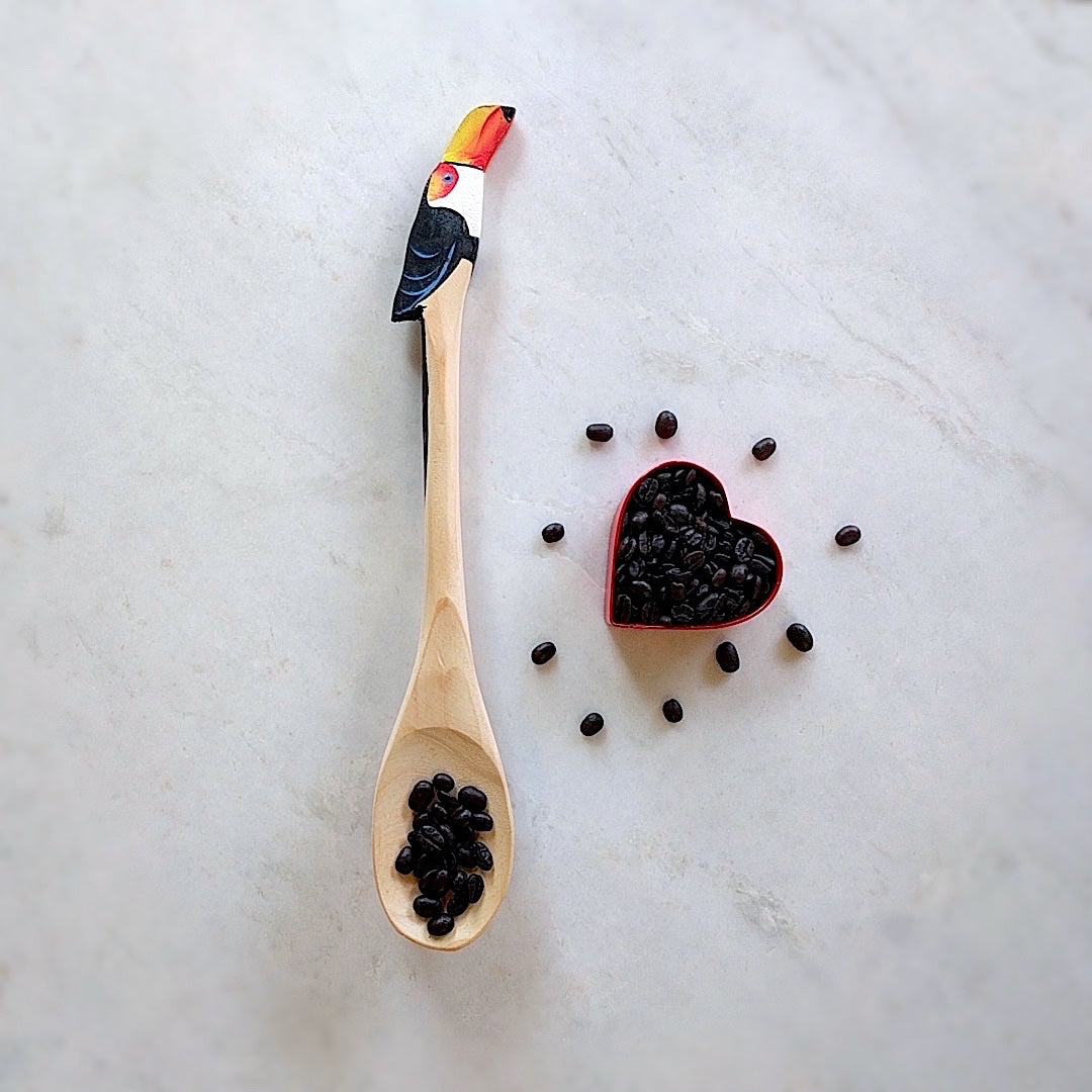 brazilian wood spoon with toucan head