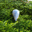 blue pear-shaped Quartz adjustable gold-plated cocktail ring