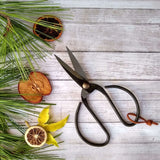 vintage style black steel bonsai scissors with leather hoop on creative backdrop