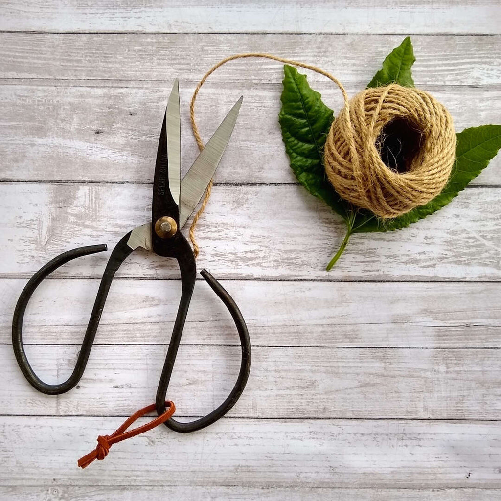 vintage style black steel bonsai scissors with leather hoop shown with hemp string