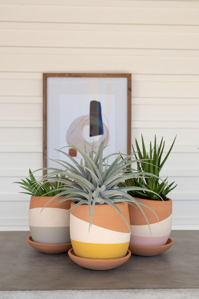 set of 3 multi-colored clay pots - shown with succulent plants