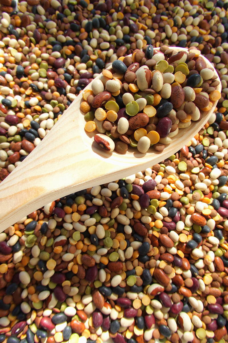 wood spoon here shown scooping up lentils