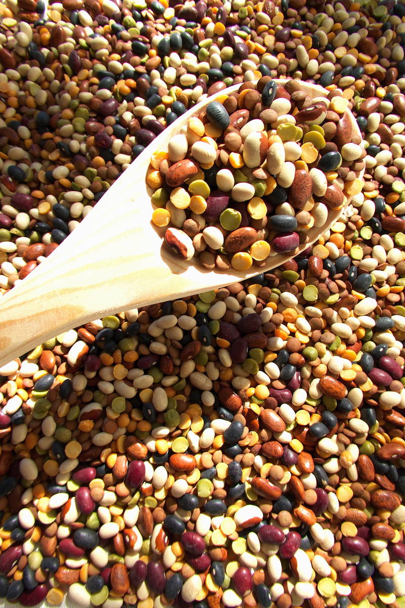 wood spoon here shown scooping up lentils