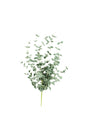 faux latex plant - dainty branches with green leaves on single stem