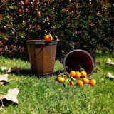 Plant Buckets (Set of 2)