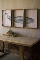 three piece whale print framed under glass